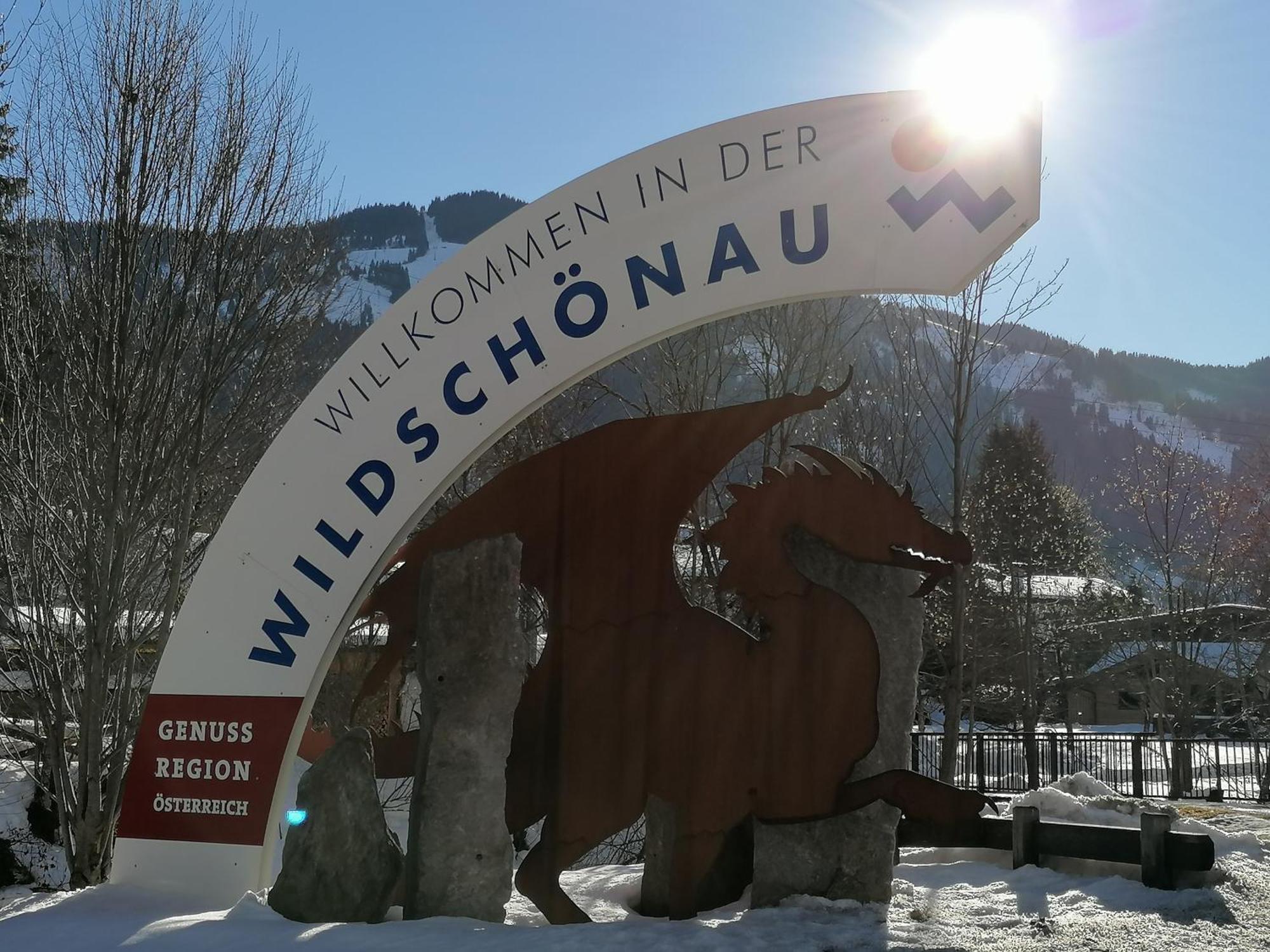 Ferienwohnung Wildschoenau By Fewo-Plan In Panoramalage Wild191 Thierbach Exteriér fotografie